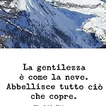 Rosa Dei Monti 3*