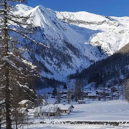 Rosa Dei Monti Piamprato