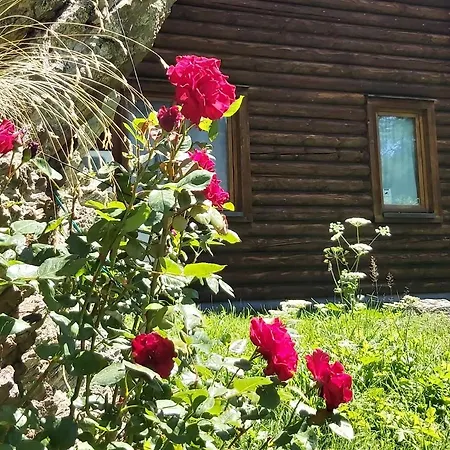 Hotel Rosa Dei Monti 3*