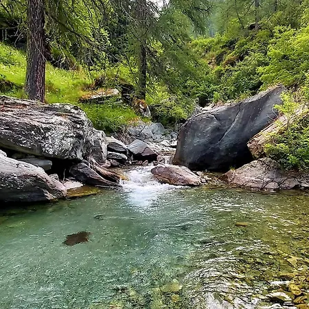 Rosa Dei Monti Piamprato