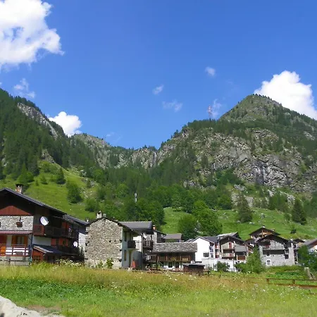 Rosa Dei Monti Piamprato