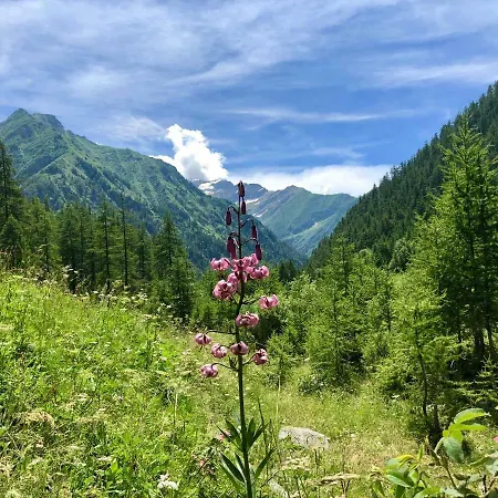 Rosa Dei Monti 3* Piamprato