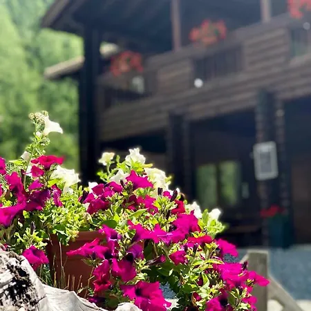 Rosa Dei Monti Piamprato