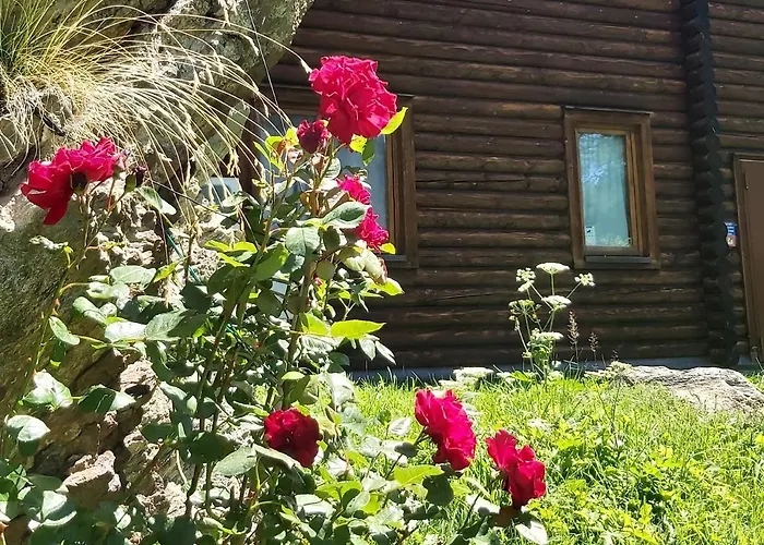 Ξενοδοχείο Rosa Dei Monti 3*