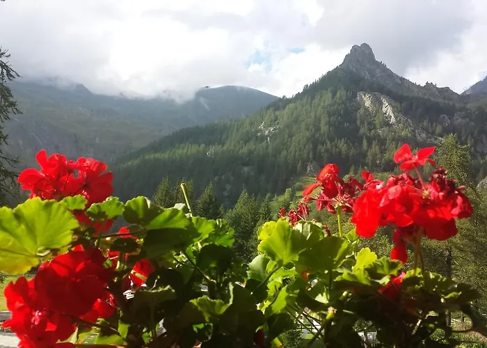 Ξενοδοχείο Rosa Dei Monti