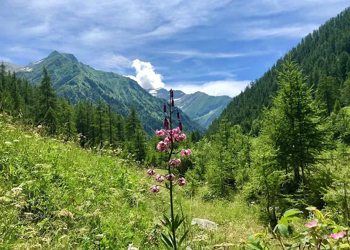 Rosa Dei Monti 3* Piamprato